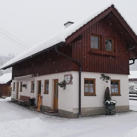 Apartment Natur Herz Haus im Ennstal Exterior foto