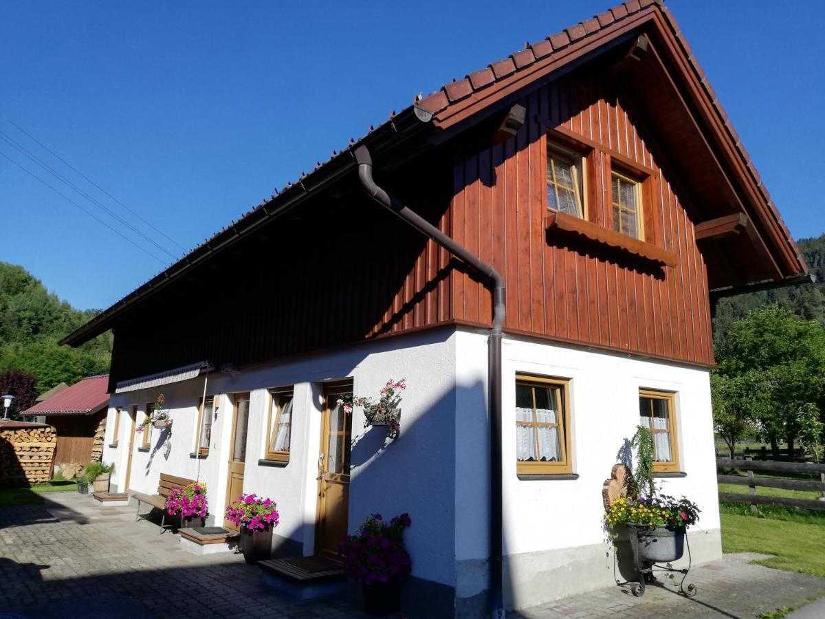 Apartment Natur Herz Haus im Ennstal Exterior foto